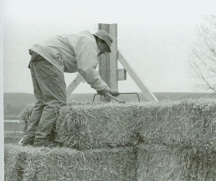 How To Build a Straw Bale House - Construction 53
